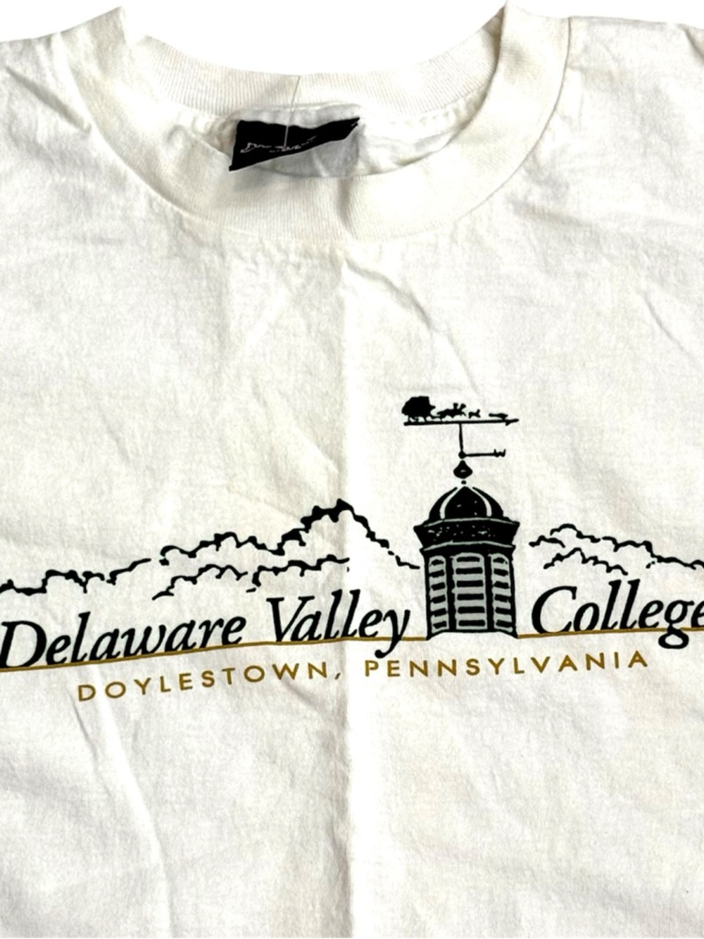 Jansport Delaware Valley College Tee XL White USA Y2K Campus Shirt Academia